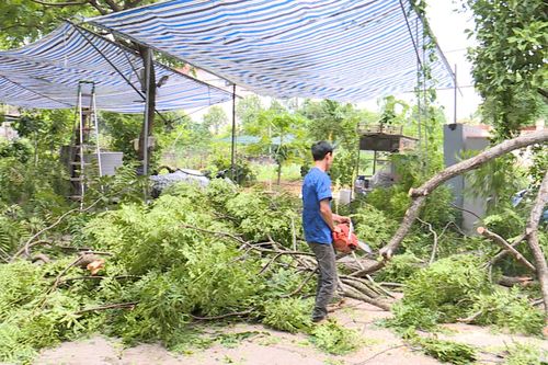Sẵn sàng di dời người dân nơi có nguy cơ ngập lụt