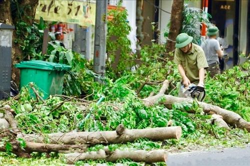 Giữ màu xanh Hà Nội sau bão