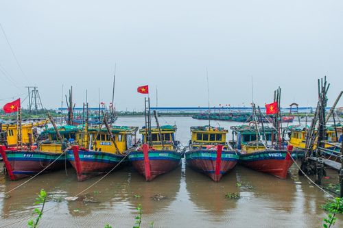Ninh Bình chủ động phòng, chống bão số 3