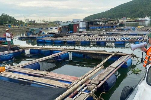 Nghệ An ghi nhận những thiệt hại về người đầu tiên khi bão số 3 còn ở ngoài khơi