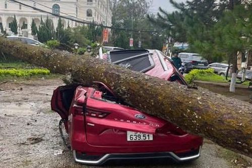 Lâm Đồng: Mưa to, gió giật mạnh làm cây xanh gãy đổ đè bẹp ôtô và gây sạt lở