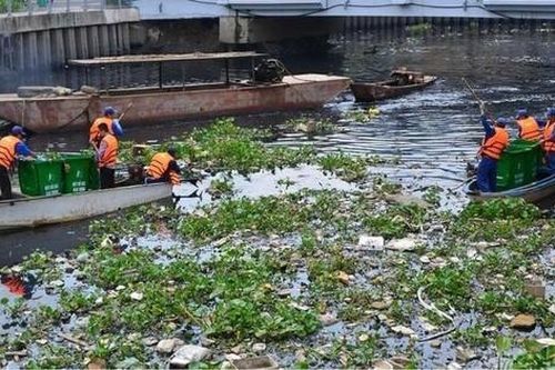 TPHCM: Chủ động các phương án ứng phó sự cố môi trường trong mùa mưa bão