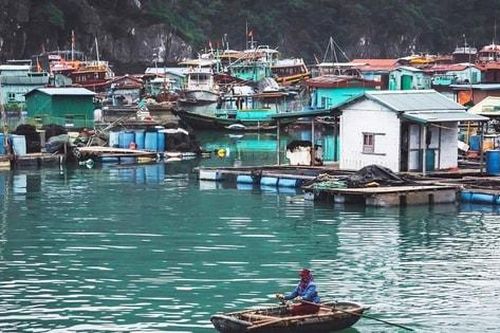 Khám phá 'hòn ngọc xanh' của vịnh Bắc Bộ