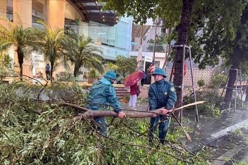 Phường Đống Đa sẵn sàng ứng phó với bão số 3