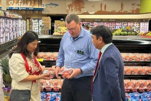 Quả vải Việt Nam lần đầu lên kệ siêu thị lớn nhất nước Mỹ