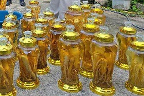 Cận cảnh 142 lít rượu sâm không rõ nguồn gốc vừa được tiêu hủy