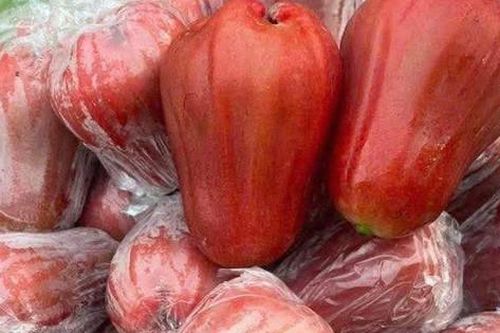 Quả roi thanh mát giúp bổ thận, kiểm soát đường huyết đang vào vụ ngon nhất, biết mẹo nhỏ này khỏi lo mua nhầm quả bị sâu bên trong