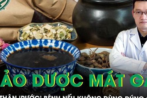 Thảo dược mát gan, cẩn thận 'rước' bệnh nếu không dùng đúng cách