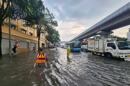 Gần 4.000 người ứng trực thoát nước, xử lý cây xanh gãy đổ chống bão số 3