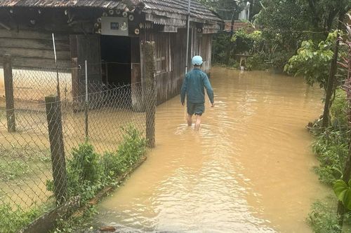 Lâm Đồng triển khai biện pháp ứng phó bão, lũ quét và sạt lở