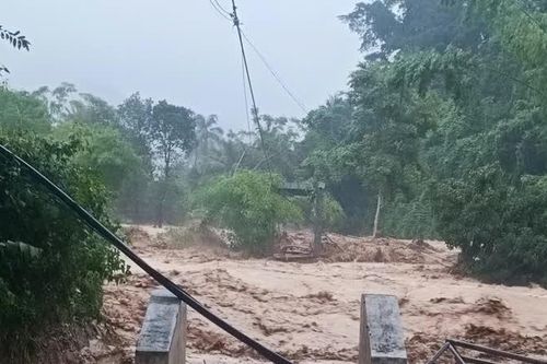 Nghệ An: lũ cuốn trôi cầu dân sinh khiến hơn 200 hộ dân bị cô lập