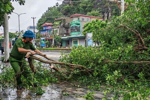 Những hình ảnh đầu tiên ở Ninh Bình khi bão số 3 đổ bộ