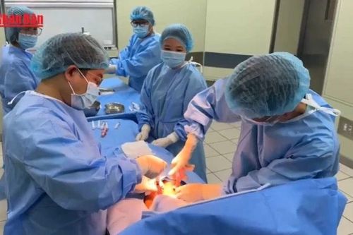 Việt Nam lần đầu tiên ghép tế bào gốc bất đồng nhóm máu thành công bằng kỹ thuật dung hòa miễn dịch