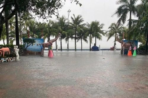 Mưa lớn nhiều nơi, Thanh Hóa chủ động ứng phó