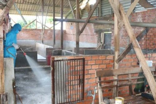 Phát hiện một ổ dịch cúm gia cầm A (H5N1) ở Đắk Lắk