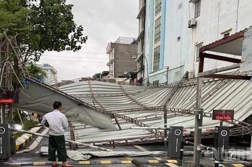 Hưng Yên: Hơn 11.000ha lúa gieo sạ ngập trắng, nhiều diện tích hoa màu ngã đổ