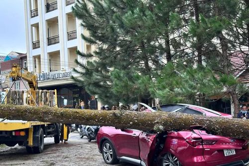 Lâm Đồng: Mưa lớn kèm lốc xoáy, nhiều người bị thương, hàng chục nhà bị hư hỏng