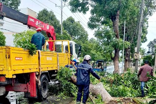 ĐBSCL: Mưa lớn kèm dông lốc làm hàng trăm căn nhà bị sập, tốc mái
