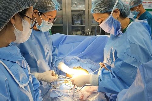 Cụ ông 71 tuổi bị ngã chấn thương khi trèo cây cắt cành tránh bão