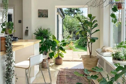 5 dấu hiệu trong nhà cho thấy gia chủ sắp giàu ú ụ