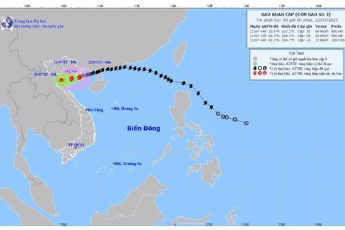 Bão Wipha giật cấp 12, tốc độ khoảng 15km/h