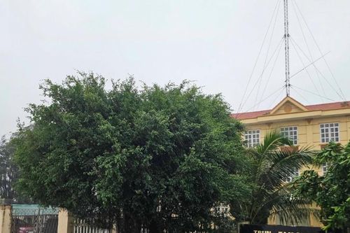Cảnh báo nguy cơ ngập úng, sạt lở ở Ninh Bình do mưa lớn