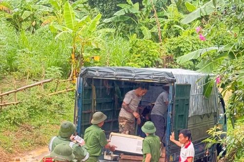 Sơ tán 229 hộ dân trước diễn biến phức tạp của bão số 3