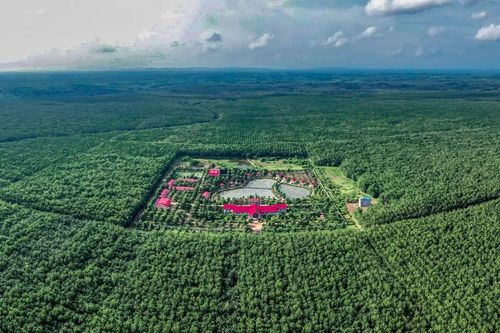 Cao su Chư Sê - Kampong Thom và cuộc chuyển mình mạnh mẽ