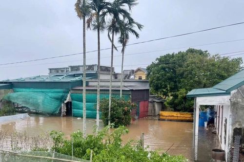 Hưng Yên: Nước tràn đê bao, thiệt hại hơn 40.000 ha hoa màu
