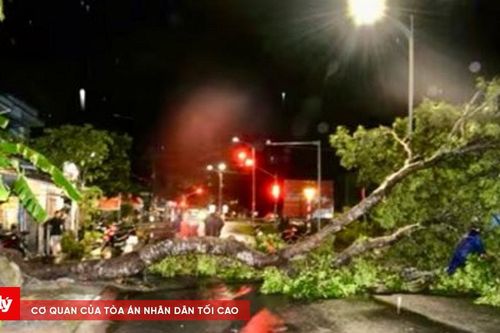 Mưa dông làm sập, tốc mái 26 căn nhà