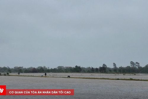 Ninh Bình: Hơn 65.000 ha lúa bị ngập trắng