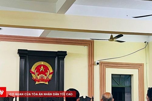 Cựu giám đốc Công ty Tân Tân khai gì về hành vi 'Trốn thuế'?