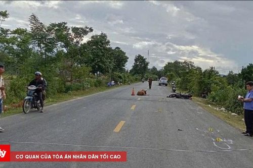 Người đi xe máy tử vong vì tông vào con bò thả rông