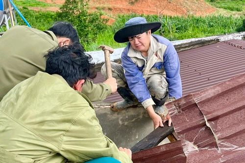 Bão Wipha khiến 2 người bị thương, thiệt hại 13,6 tỷ đồng ở Lâm Đồng