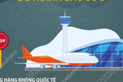 Cảng Vân Đồn và Cát Bi tạm dừng khai thác bay để tránh bão số 3