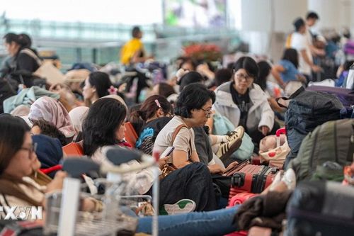 Bão Wipha có thể khiến Hong Kong thiệt hại 255 triệu USD chỉ trong một ngày
