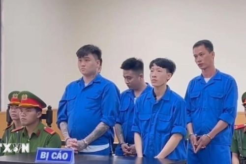 An Giang: Xét xử 5 bị cáo tàng trữ, sử dụng, mua bán trái phép vũ khí