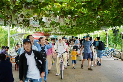 TP Hồ Chí Minh phát triển du lịch xanh gắn với nông nghiệp công nghệ cao