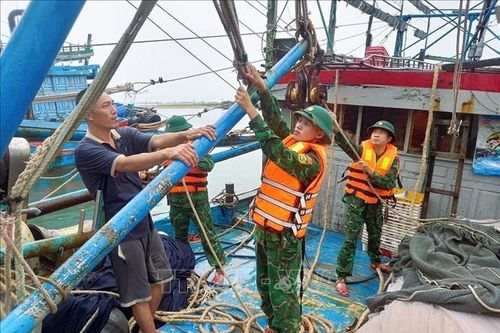 Bão số 3: Bộ đội Biên phòng bám cơ sở, giúp dân 'vượt' bão