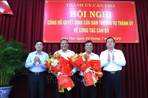 Ông Nguyễn Ngọc Tâm giữ chức Trưởng Ban Tuyên giáo và Dân vận Thành ủy Cần Thơ