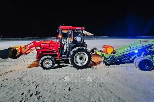 Làm sạch bãi biển Vũng Tàu bằng xe sàng cát tự động