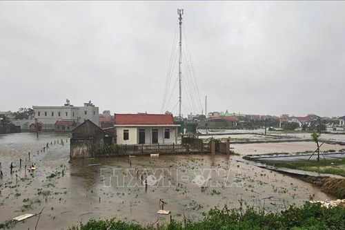 Ninh Bình có trên 74.000 ha lúa mùa bị ngập