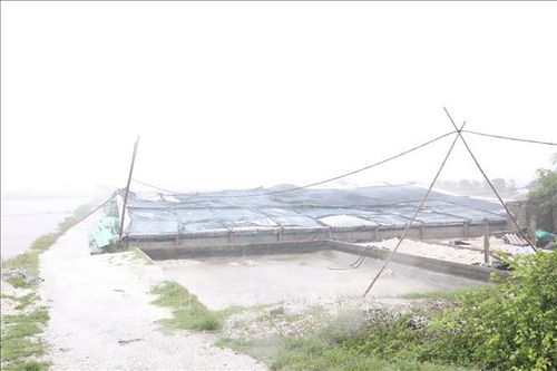 Bão số 3: Khẩn trương vận hành công trình thủy lợi để tiêu úng