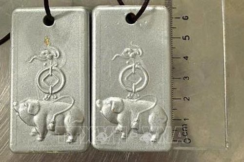 Truy tố đối tượng người nước ngoài mang vàng trái phép vào Việt Nam