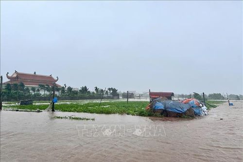 Bão số 3: Nhiều diện tích lúa, nuôi trồng thủy sản ở Ninh Bình ngập sâu