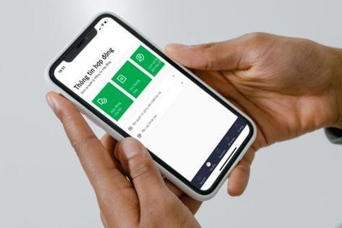 Manulife hỗ trợ chi trả nhanh cho khách hàng trong vụ lật tàu tại Hạ Long