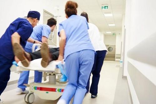 Trèo cây cắt tỉa cành tránh bão, cụ ông 71 tuổi bị ngã trọng thương