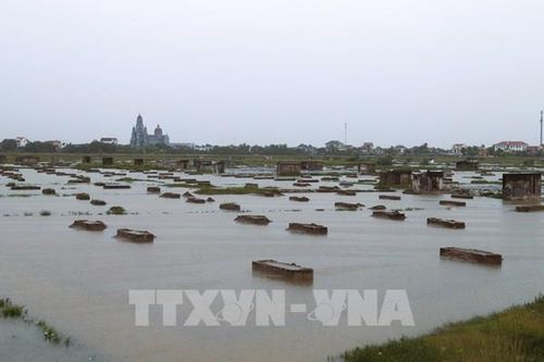Bão số 3 gây ngập úng trên 121.300 ha cây trồng