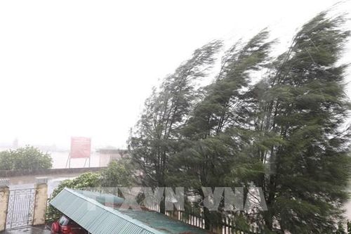 Nguyên nhân vì sao bão số 3 có nơi giảm mưa, hửng nắng