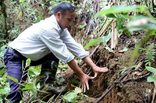 Điện Biên: Di dời 17 hộ đồng bào dân tộc thiểu số ra khỏi nơi có nguy cơ sạt lở